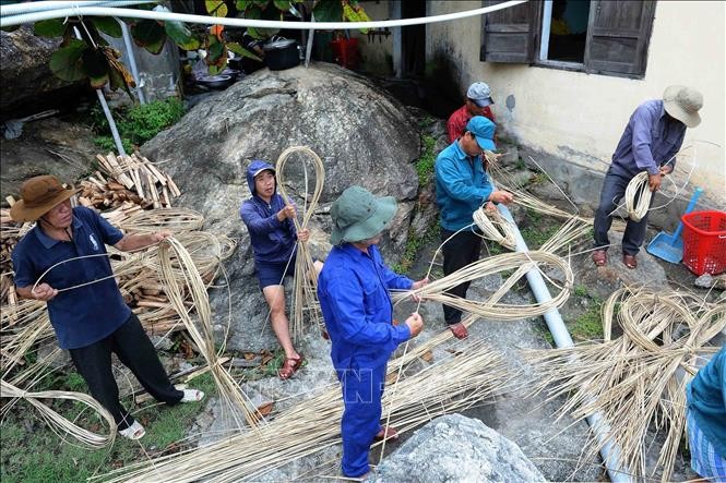 Nỗ lực tái tạo và phát triển bền vững đàn yến trên đảo Cù Lao Chàm Nỗ lực tái tạo và phát triển bền vững đàn yến trên đảo Cù Lao Chàm