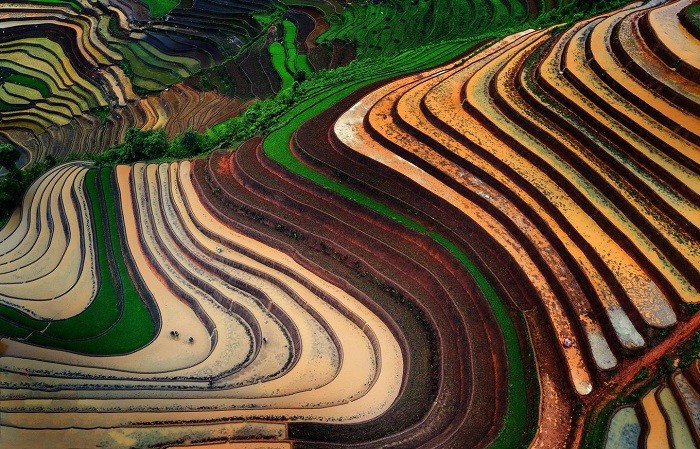 Mùa nước đổ trên những thửa ruộng bậc thang ở Hoàng Su Phì, Hà Giang Mùa nước đổ trên những thửa ruộng bậc thang ở Hoàng Su Phì, Hà Giang