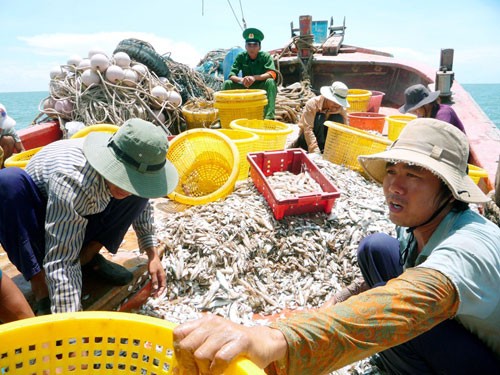 Mỹ tăng cường hợp tác với Việt Nam chống đánh bắt cá trái phép Mỹ tăng cường hợp tác với Việt Nam chống đánh bắt cá trái phép