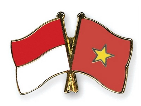 Việt Nam và Indonesia thiết lập quan hệ ngoại giao ngày 30/12/1955. viet nam va indonesia thiet lap quan he ngoai giao ngay 30121955