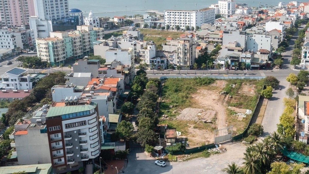征求海外越南人对土地法（修正案）草案的意见