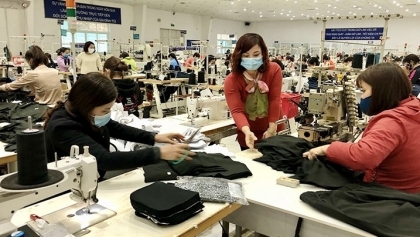 河内市支持中小型企业恢复生产活动