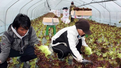 在韩越南劳工居留期限可延长一年