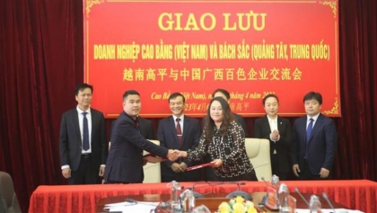 高平省和中国广西百色企业交流会