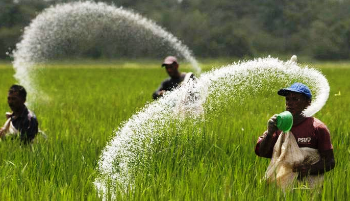 Bản in : 美国支持越南减少农业生产碳排放 | Vietnam+ (VietnamPlus) Bản in : 美国支持越南减少农业生产碳排放 | Vietnam+ (VietnamPlus)