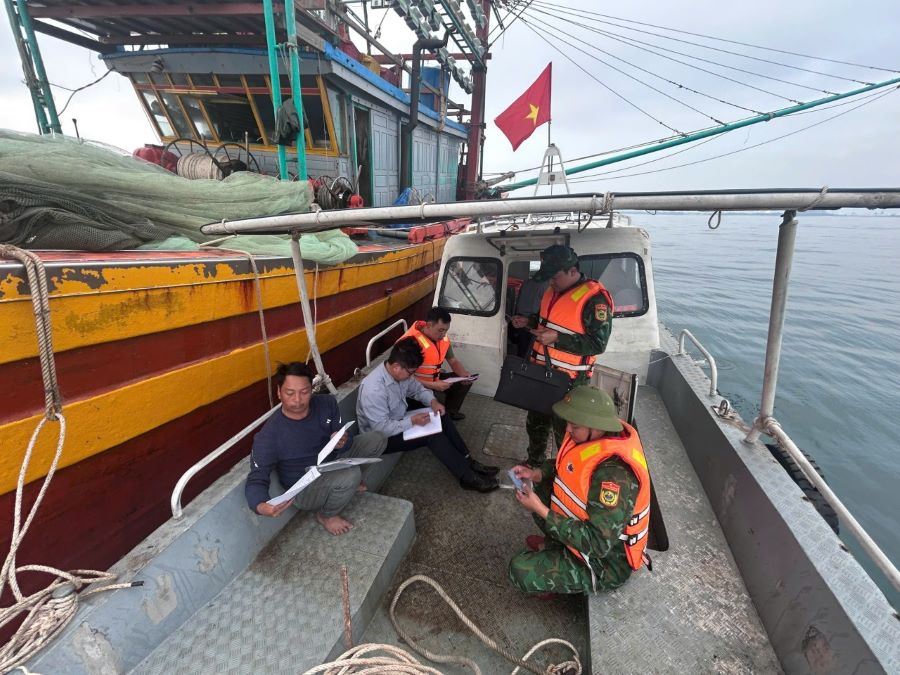广治省:加强协同巡逻与违法查处,打击IUU捕捞 Quảng Trị tăng cường phối hợp quyết liệt chống khai thác IUU