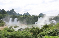 越中跨境旅游深化合作培训与AI应用