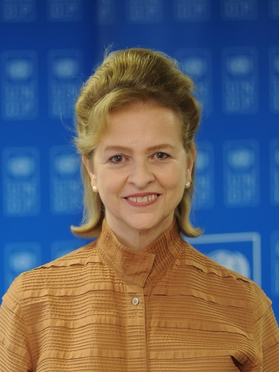 联合国开发计划署（UNDP）驻越南首席代表凯特林•维森（Caitlin Wiesen ）