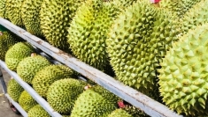 中国花费超2亿美元进口越南榴莲
