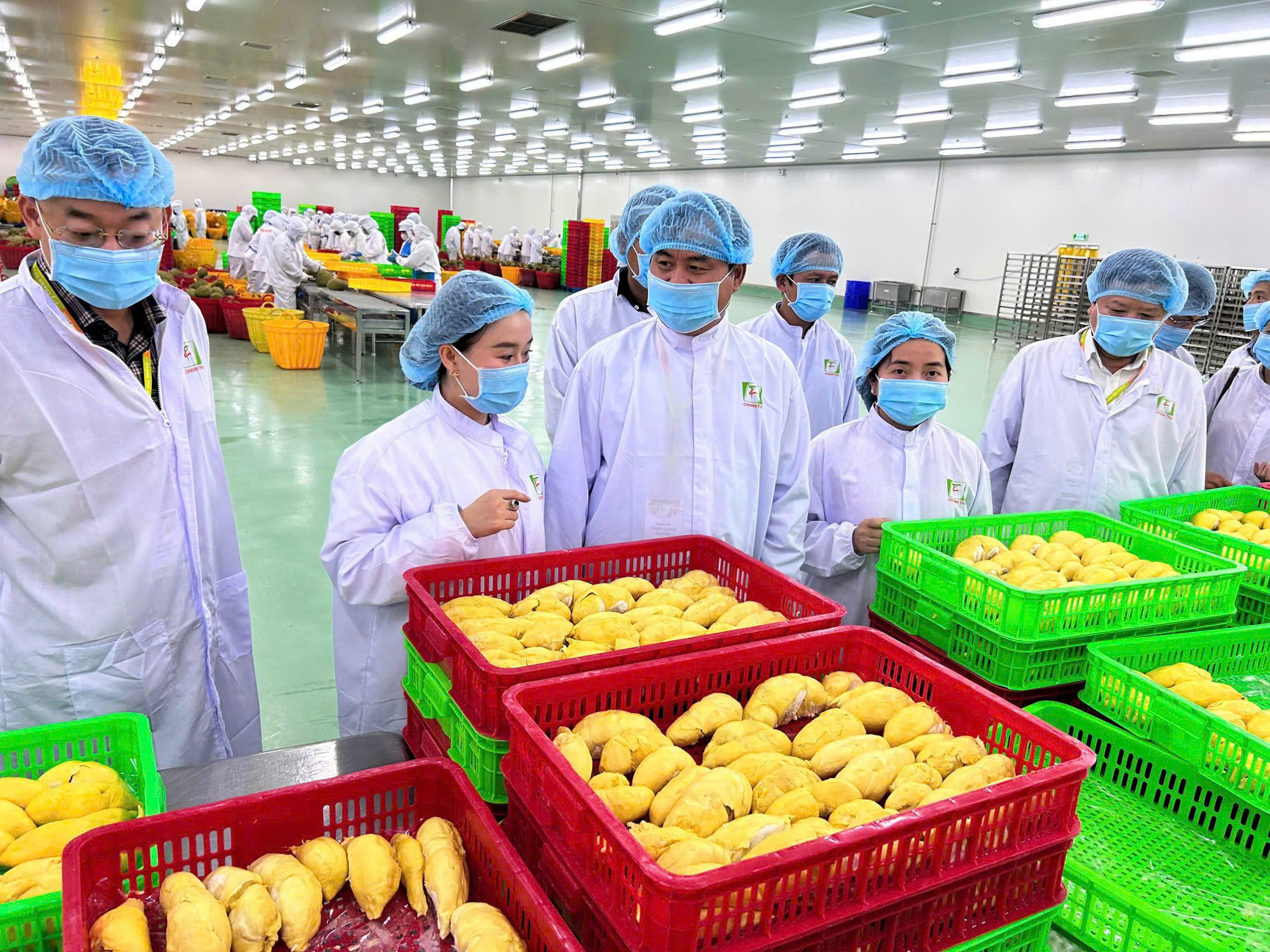 越南农产品适应中国新规要求