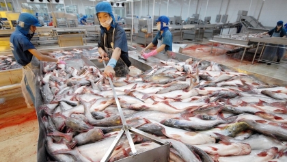 2021年5月越南海鲜产品出口增长26%