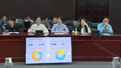 中国香港大学代表团考察岘港投资环境
