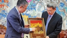 加强越中民族事务合作