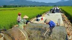 八届任期亮点：农民充分发挥主体作用推进新农村建设