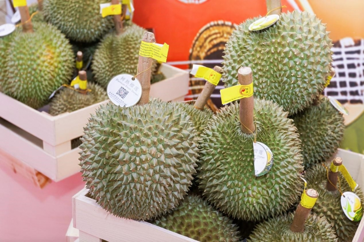 东盟农产品运抵南宁国际铁路港(中国) 东盟农产品运抵中国南宁国际铁路港