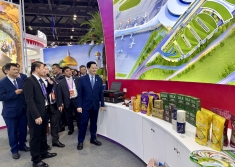 通过2026年东博会拓展与广西及中国企业合作新机遇