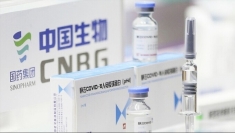中国驻越南大使馆关于在越实施“春苗行动”初步安排的通知