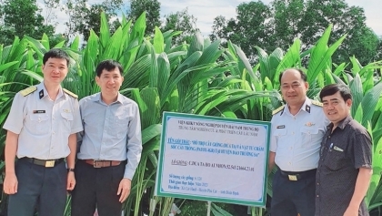 携手实现'绿化越南长沙'计划