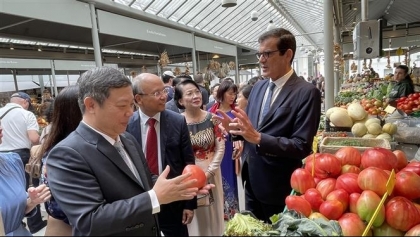 胡志明市亮相在葡萄牙波尔图举行的越南节