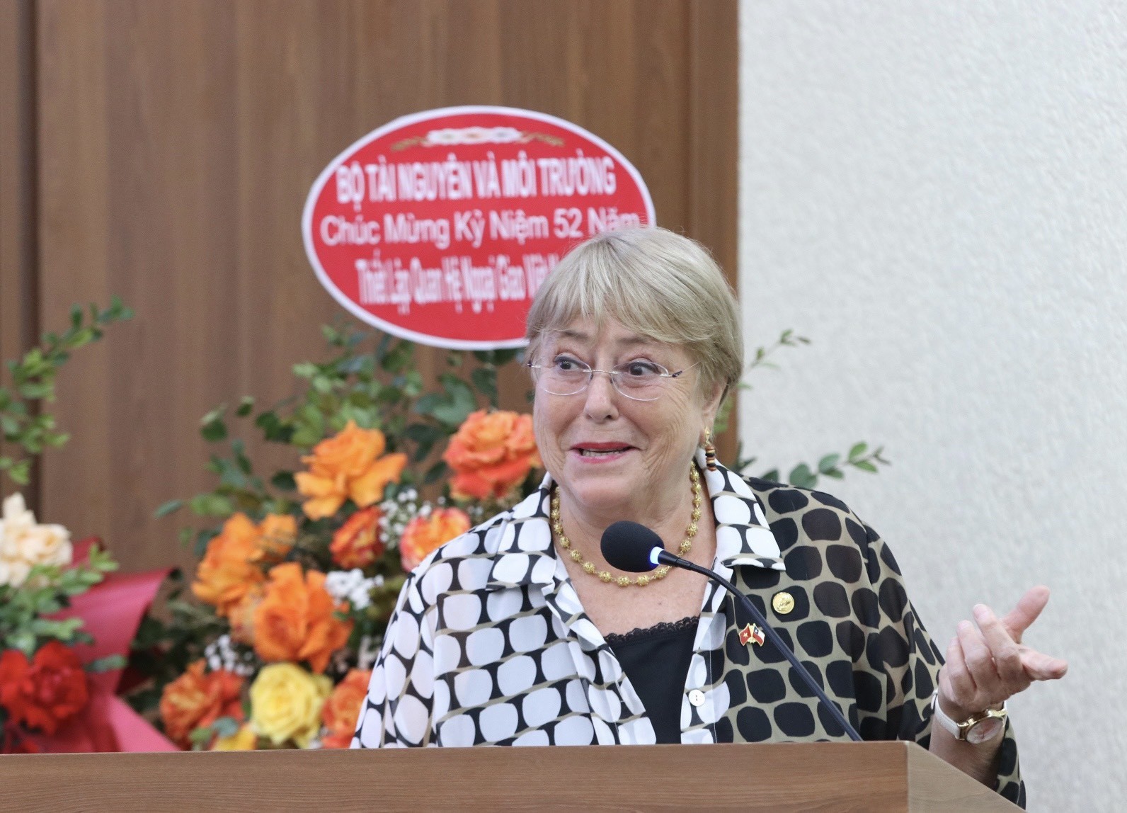 米歇尔·巴切莱特和越南-智利友谊之歌 Người bạn Michelle Bachelet và khúc ca hữu nghị Việt Nam - Chile
