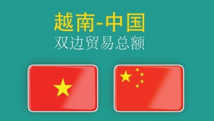 图表新闻：越中贸易关系取得令人瞩目成就
