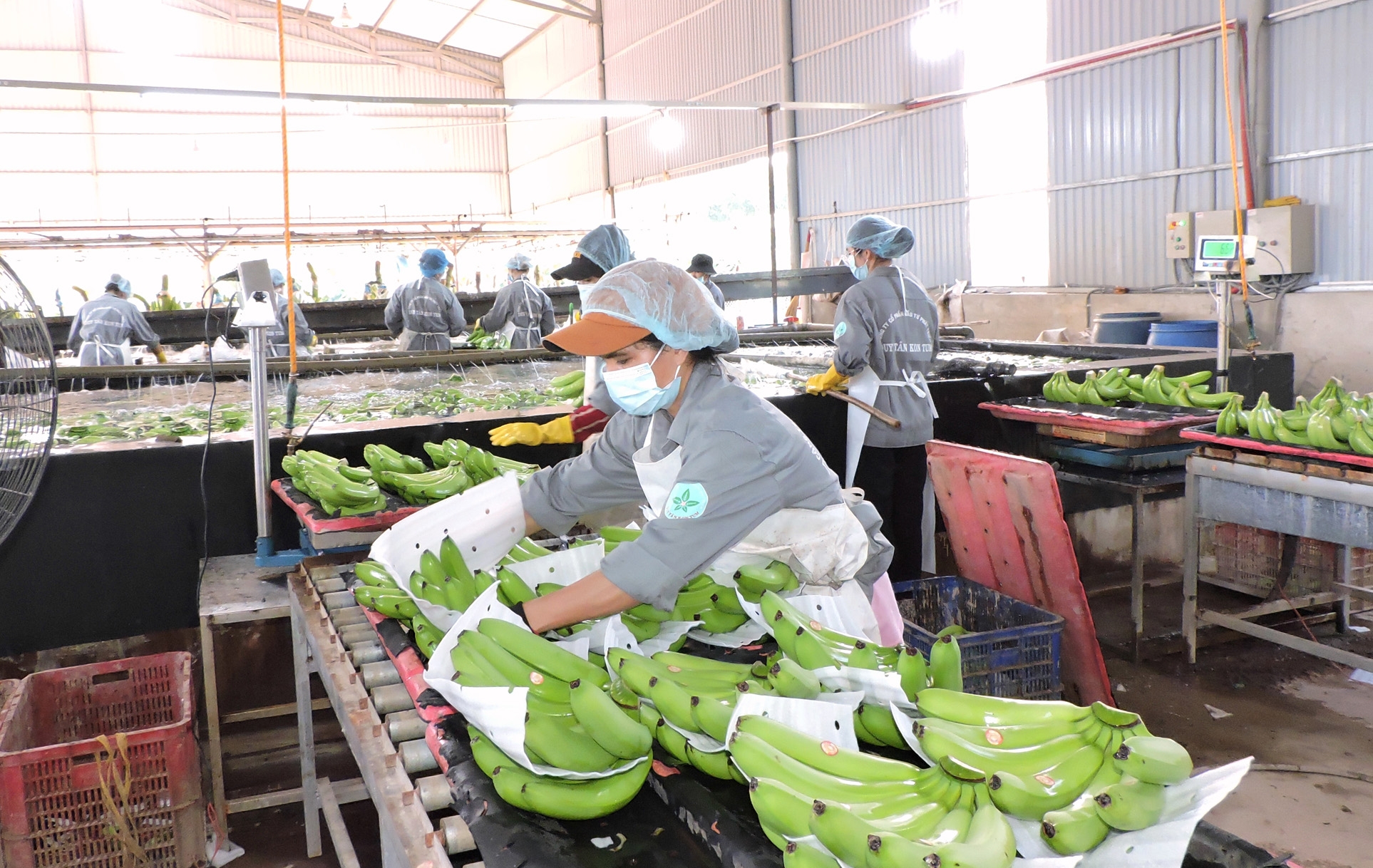 农产品出口需要适应中国的新规定 农产品出口需要适应中国的新规定