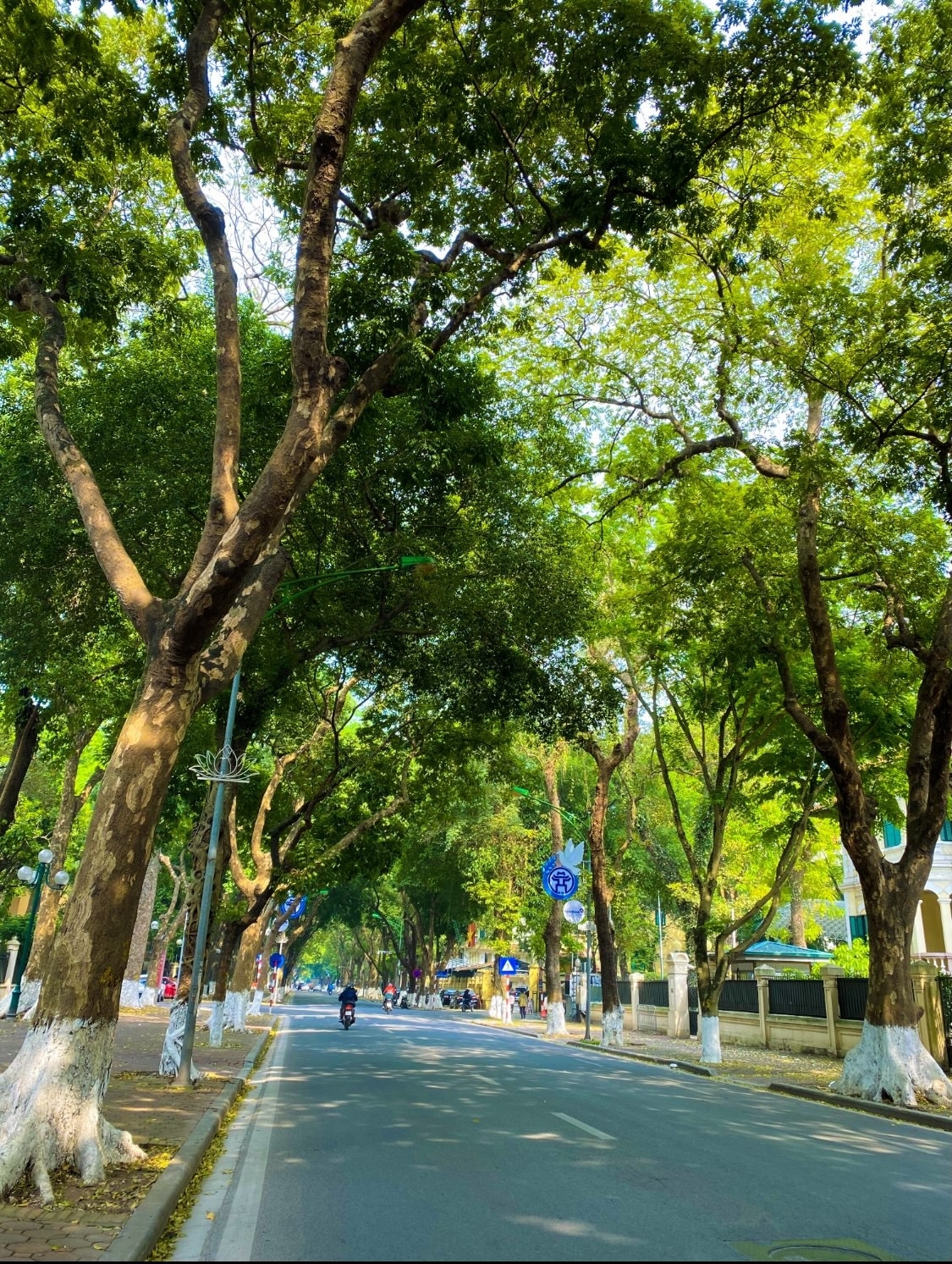 前来沙巴观赏梯田黄金季节 前来沙巴观赏梯田黄金季节