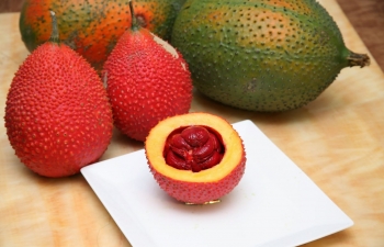 Xoi gac – fortunate red sticky rice of Vietnam