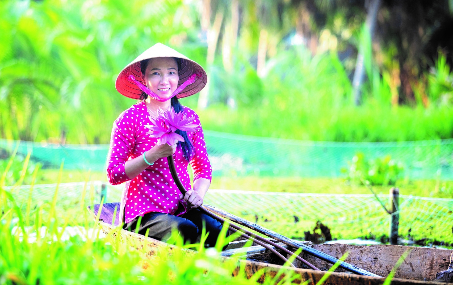 在越南茶荣省实施的加强妇女在预防和减轻灾害和气候变化风险方面作用的项目。 在越南茶荣省实施的加强妇女在预防和减轻灾害和气候变化风险方面作用的项目。