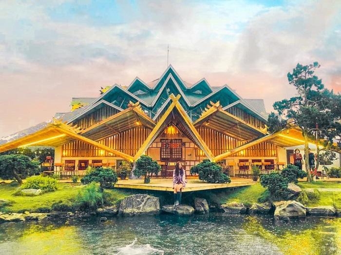 造访枫叶旅游区的理想时间是在树木葱茏的春天和浪漫金色树叶的秋天。枫叶旅游区位于越南林同省大叻市邓泰申路45号。