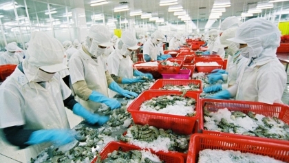 越南水产品肯定在欧盟的地位