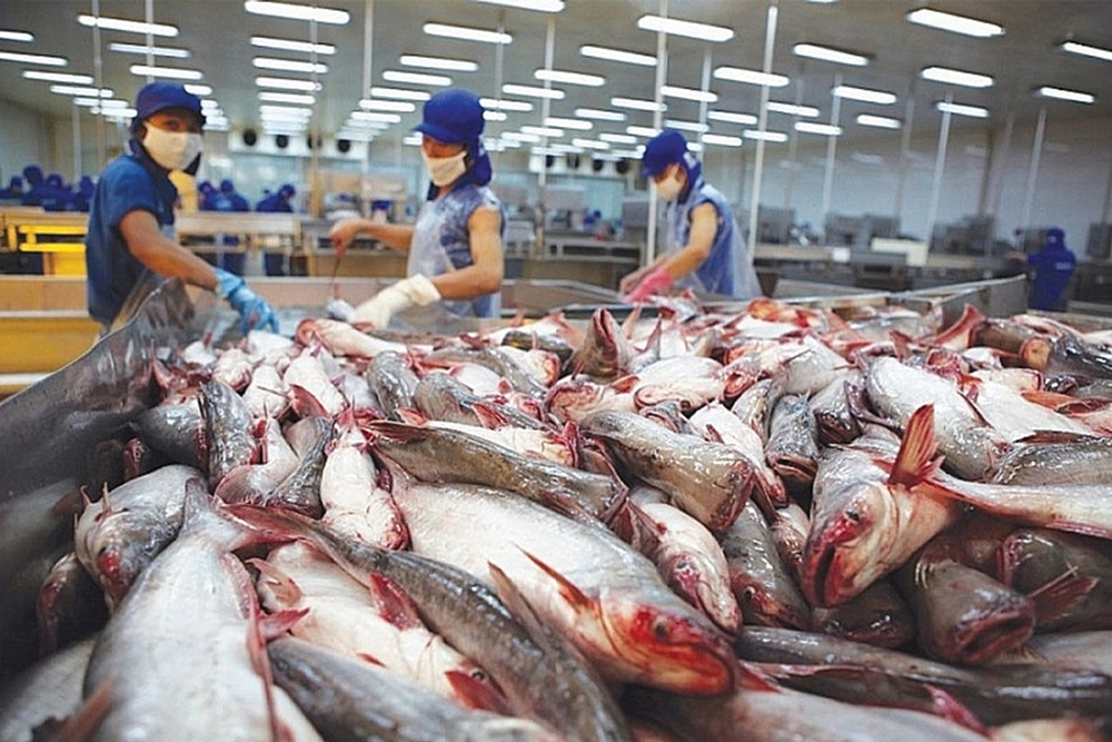 2022年水产品出口额有望达到100亿美元。 2022年水产品出口额有望达到100亿美元。