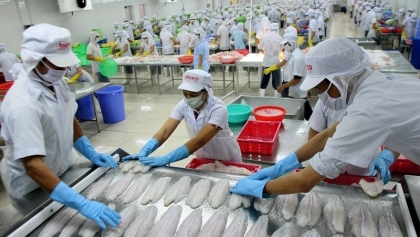 2021年，越南的经济规模将达到5000亿美元