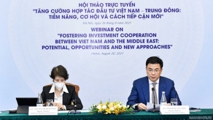 越南十分重视发展与中东各国的友好合作关系