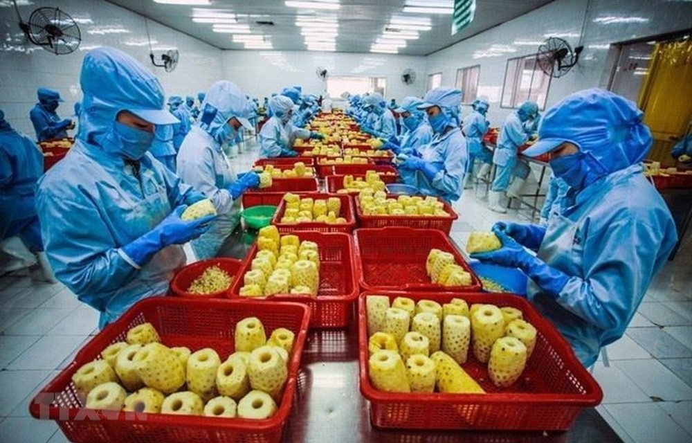 附图。图源：互联网
