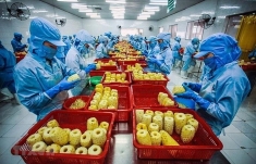 越南蔬果对欧盟出口的新规定