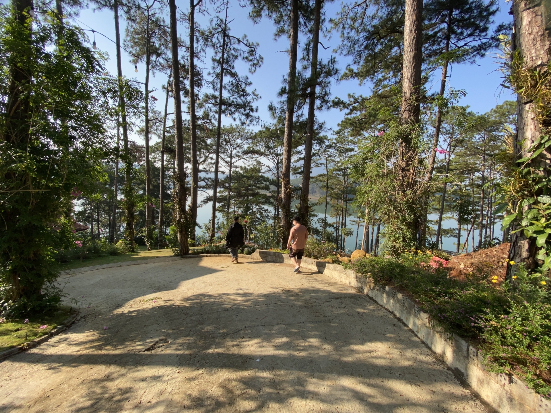 大叻市的兰英村别墅区中的风景。 大叻市的兰英村别墅区中的风景。