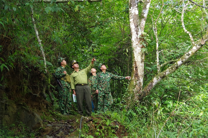 Bảo vệ rừng đầu nguồn biên giới Sin Suối Hồ Bảo vệ rừng đầu nguồn biên giới Sin Suối Hồ