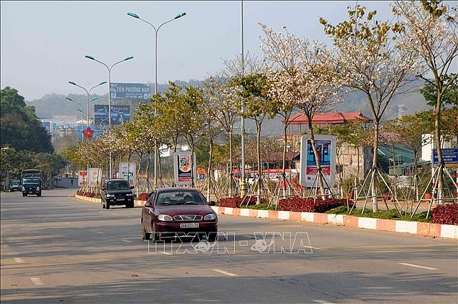 ຊົມດອກບານສີຂາວທີ່ເບັ່ງບານອວດອ້າງສີສັນຢູ່ທ້ອງຟ້າຂອງເຊີນລາ