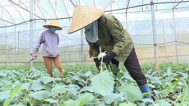 ອັດ​ຕາ​ການ​ຫຼຸດ​ຜ່ອນ​ຄວາມ​ທຸກ​ຍາກ​ຂອງ​ຫວຽດ​ນາມ ໃນ​ໄລ​ຍະ 10 ປີ​ທີ່​ຜ່ານ​ມາ​ແມ່ນເປັນໜ້າ​ປະ​ທັບ​ໃຈ