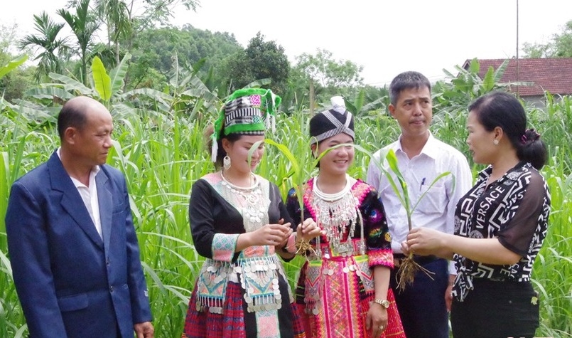 ຊ່ວຍເປະຊາຊົນປະເທດເພື່ອນມິດລາວ ຍົກສູງຄຸນນະພາບການດຳລົງຊີວິດ ແລະປົກປັກຮັກສາຊາຍແດນ