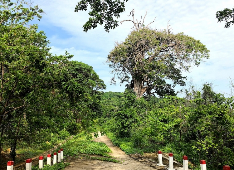 ຄົ້ນຫາຮ່ອນຄວາຍ - “ໄຂ່ມຸກສີຟ້າ” ຢູ່ພາກໃຕ້ສຸດຂອງປະເທດ
