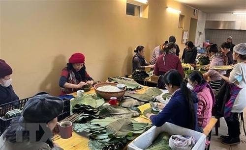 ຂີດໝາຍ 35 ປີ​​ ແຫ່ງການ​ຮ່ວມ​ມື​ດ້ານ​ແຮງ​ງານ ຫວຽດນາມ-ເຢຍລະມັນ