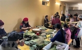 ຂີດໝາຍ 35 ປີ​​ ແຫ່ງການ​ຮ່ວມ​ມື​ດ້ານ​ແຮງ​ງານ ຫວຽດນາມ-ເຢຍລະມັນ