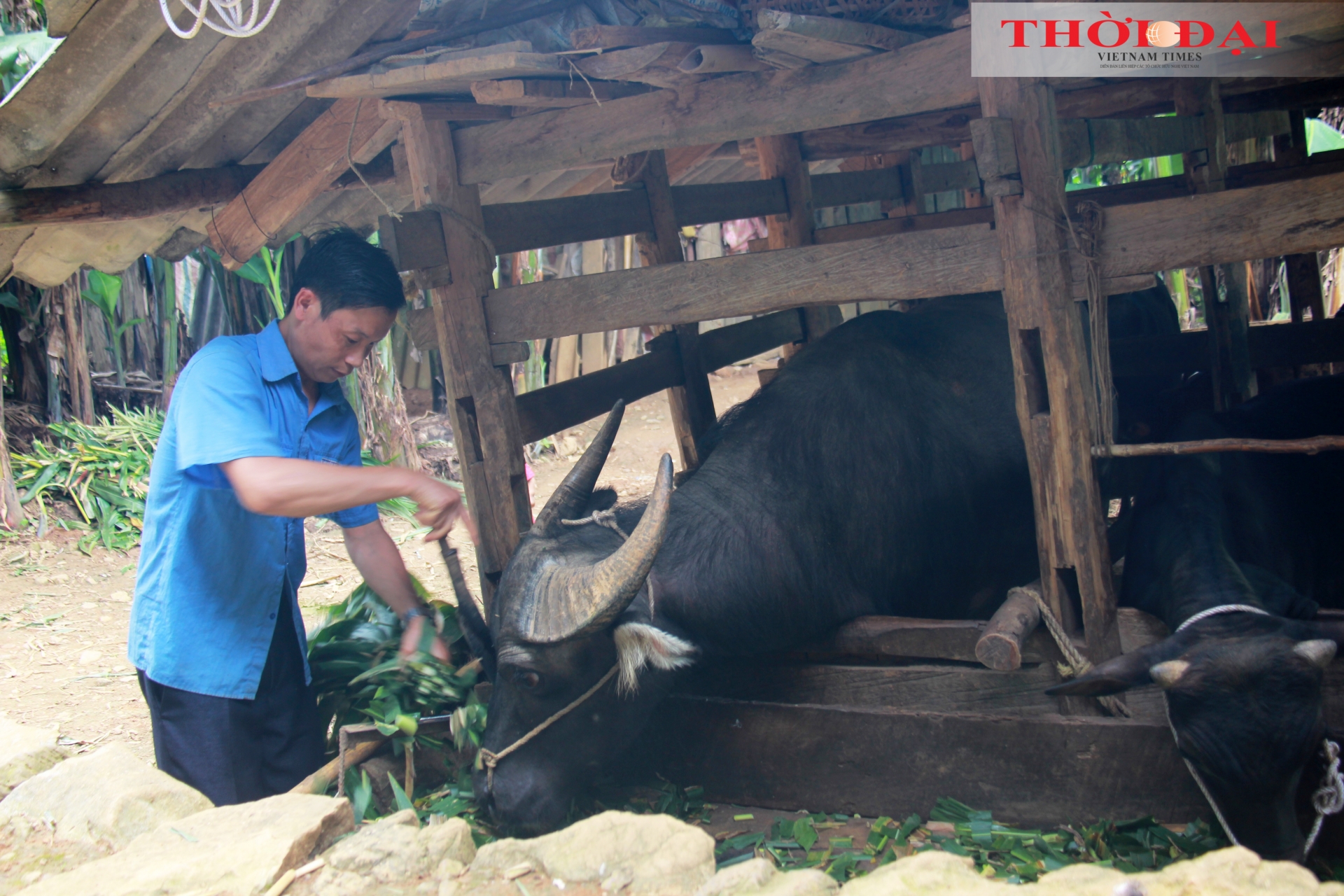 "ການມີເຮືອນໃຫມ່ເຮັດໃຫ້ຂ້າພະເຈົ້າມີຄວາມສຸກຫຼາຍ"