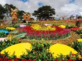 Festival ​ດອກ​ໄມ້ ດ່າລາດ ຄັ້ງ​ທີ 9 ມີຫຼາຍ​ການ​ເຄື່ອນ​ໄຫວສະເພາະ​ພິ​ເສດ