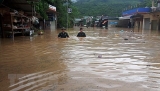 ຫວຽດ​ນາມ ຕັດ​ສິນ​ໃຈ​ປະ​ຕິ​ບັດ​ບັນ​ດາ​ຄຳ​ເໝັ້ນ​ສັນ​ຍາ​ສາ​ກົນ ກ່ຽວ​ກັບ​ການ​ປ່ຽນ​ແປງ​ຂອງ​ດິນ​ຟ້າ​ອາ​ກາດ