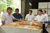 ຄະນະພັກກຸ່ມວິສາຫະກິດຂັ້ນສູນກາງ ໄປຢ້ຽມຢາມ ແລະເຮັດວຽກຢູ່ ລາວ