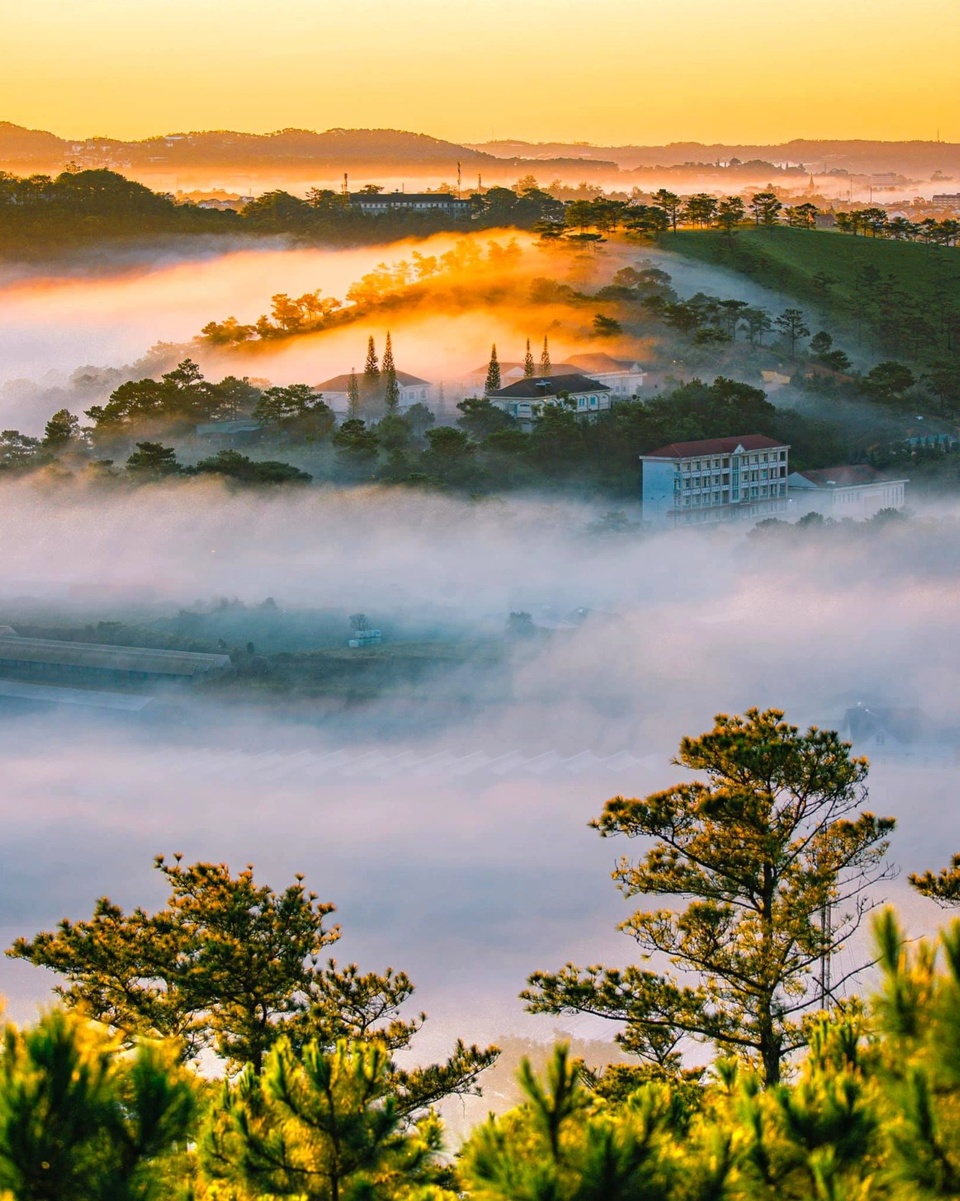 San may Viet Nam anh 2