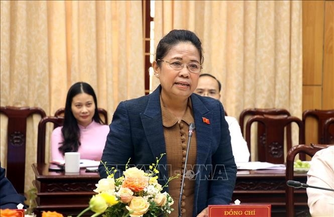 ຄະນະປະຕິບັດຄະນະຈັດຕັ້ງສູນກາງພັກປະຊາຊົນປະຕິວັດລາວ ເຮັດວຽກຢູ່ແຂວງ ຮຶງອຽນ